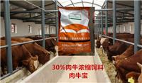 肉牛寶-30%肉牛濃縮飼料