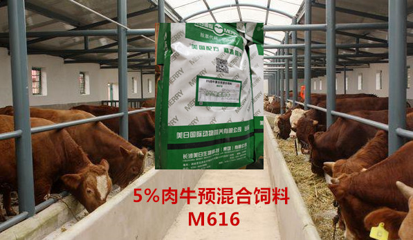 5%生態(tài)肉牛復合預混料